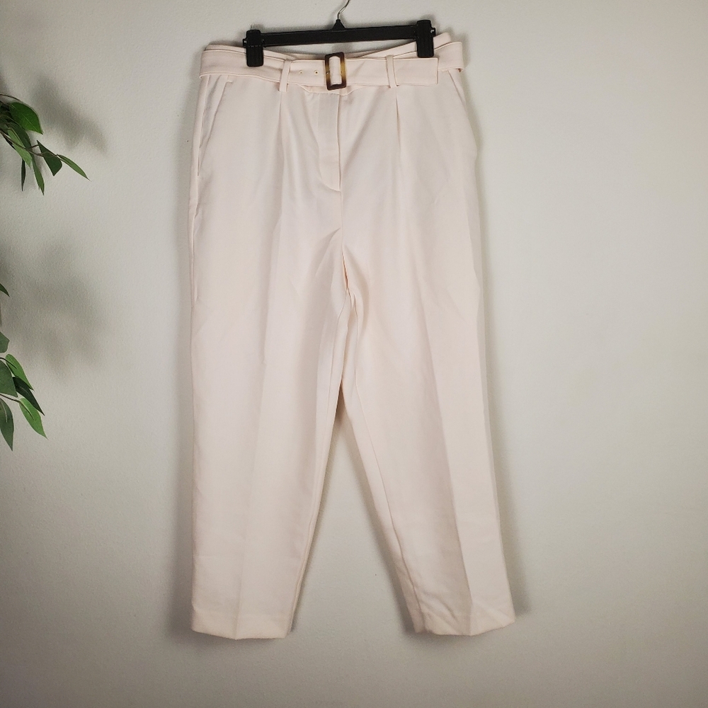 Ann Taylor Cream Pink High Waisted Trousers Slacks Size 10